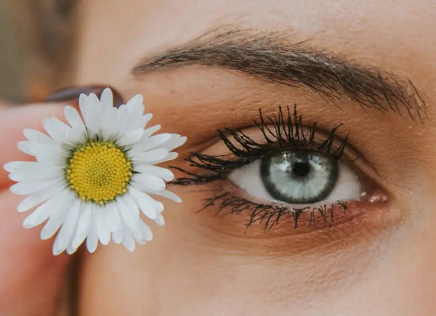 Lentilles de contact